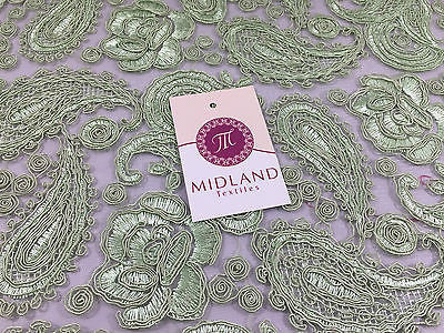 Light Green Corded Floral Paisley Double Scalloped Edging 50' Wide M236 Mtex - Midland Textiles & Fabric