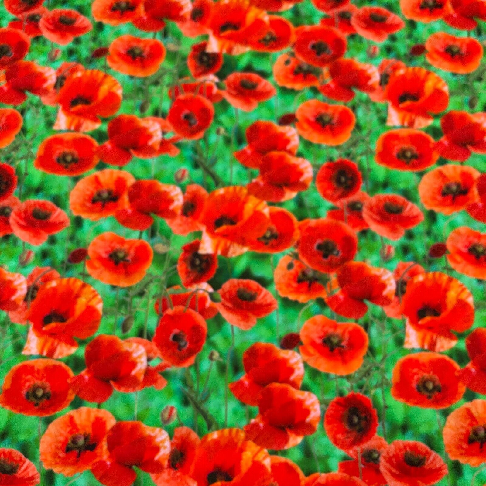 Cotton Poppy fabric Emerald Green & Red Floral printed dress poplin M1695